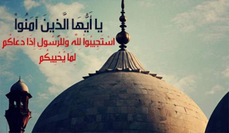 حبل النجاة الوحيد للبلاد الإسلامية